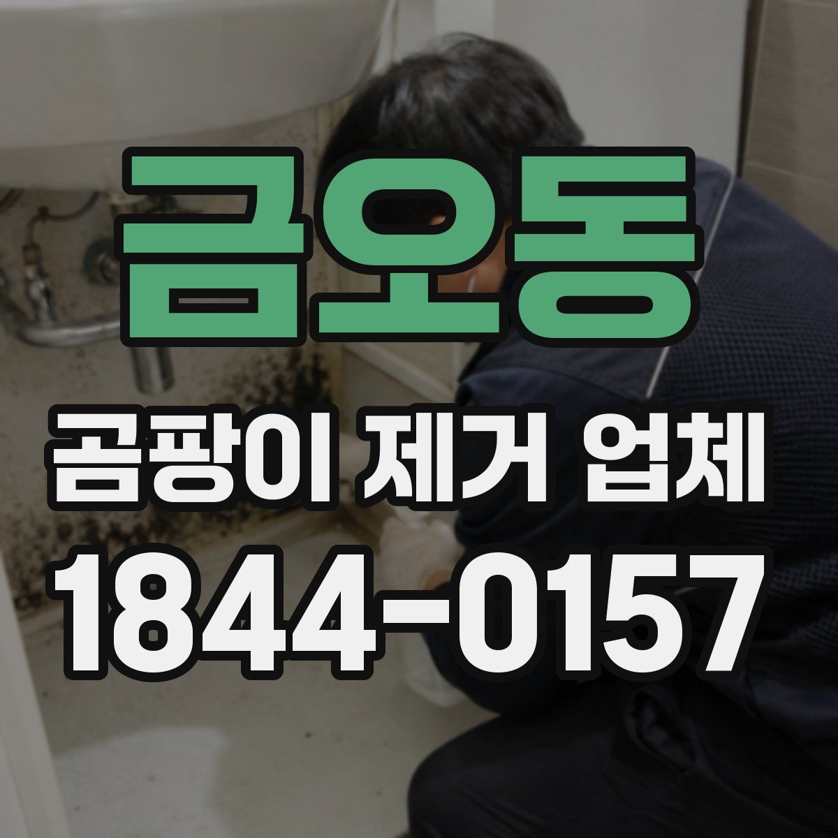 금오동 곰팡이 제거 업체