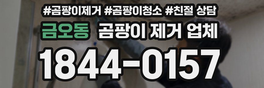 금오동 곰팡이 제거 업체