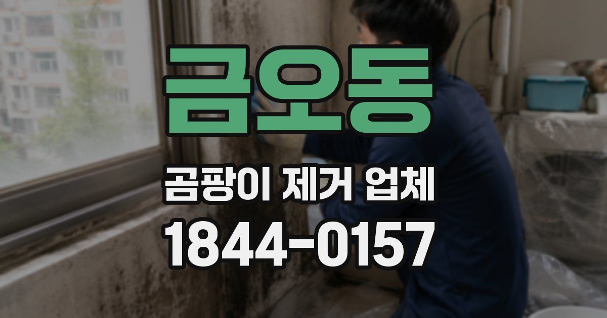 금오동 곰팡이 제거 업체