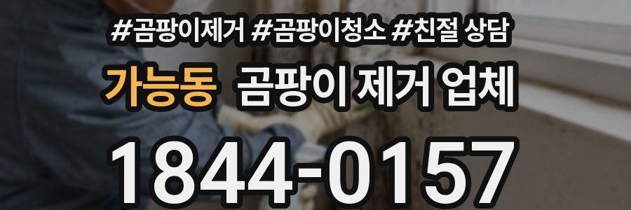 가능동 곰팡이 제거 업체