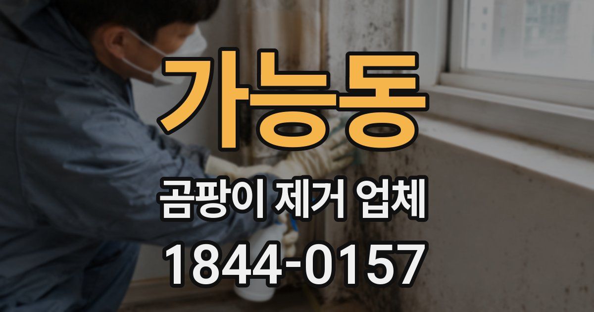 가능동 곰팡이 제거 업체