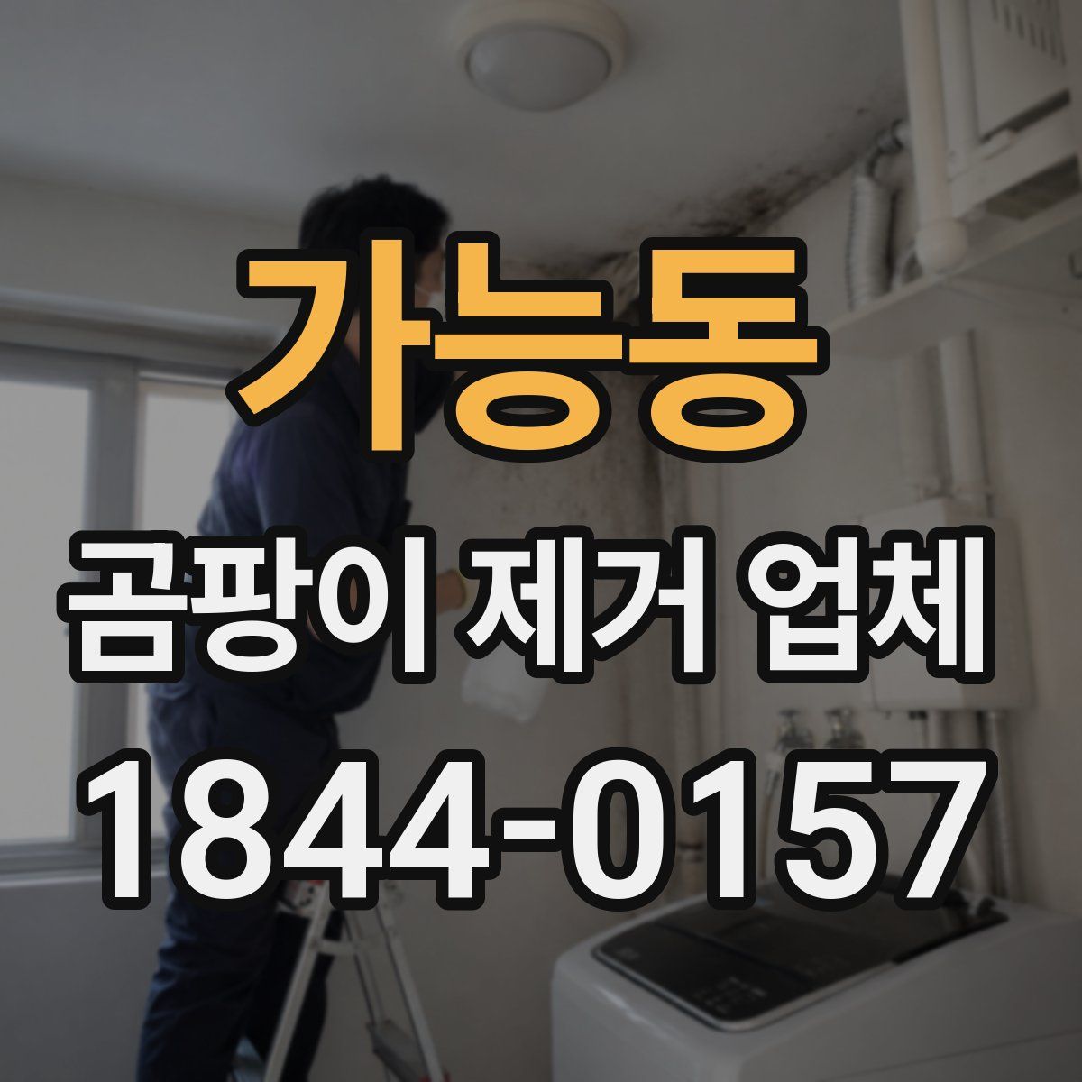 가능동 곰팡이 제거 업체