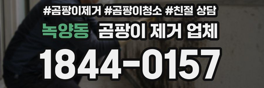 녹양동 곰팡이 제거 업체