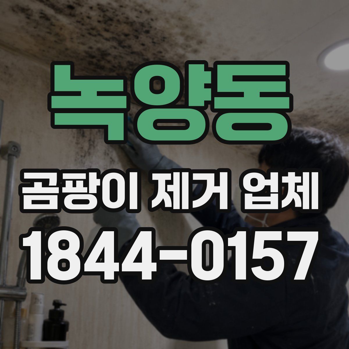 녹양동 곰팡이 제거 업체