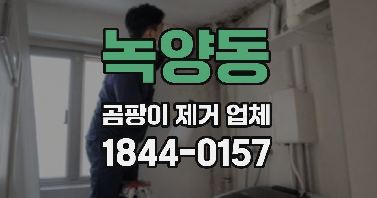 녹양동 곰팡이 제거 업체