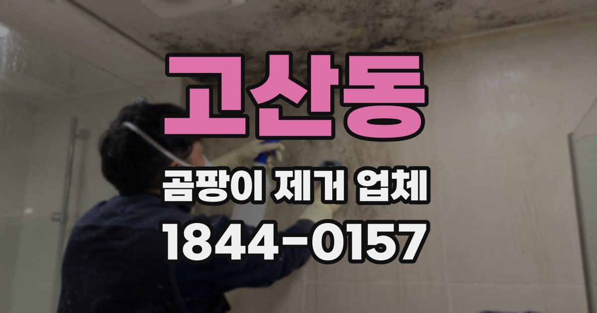 고산동 곰팡이 제거 업체
