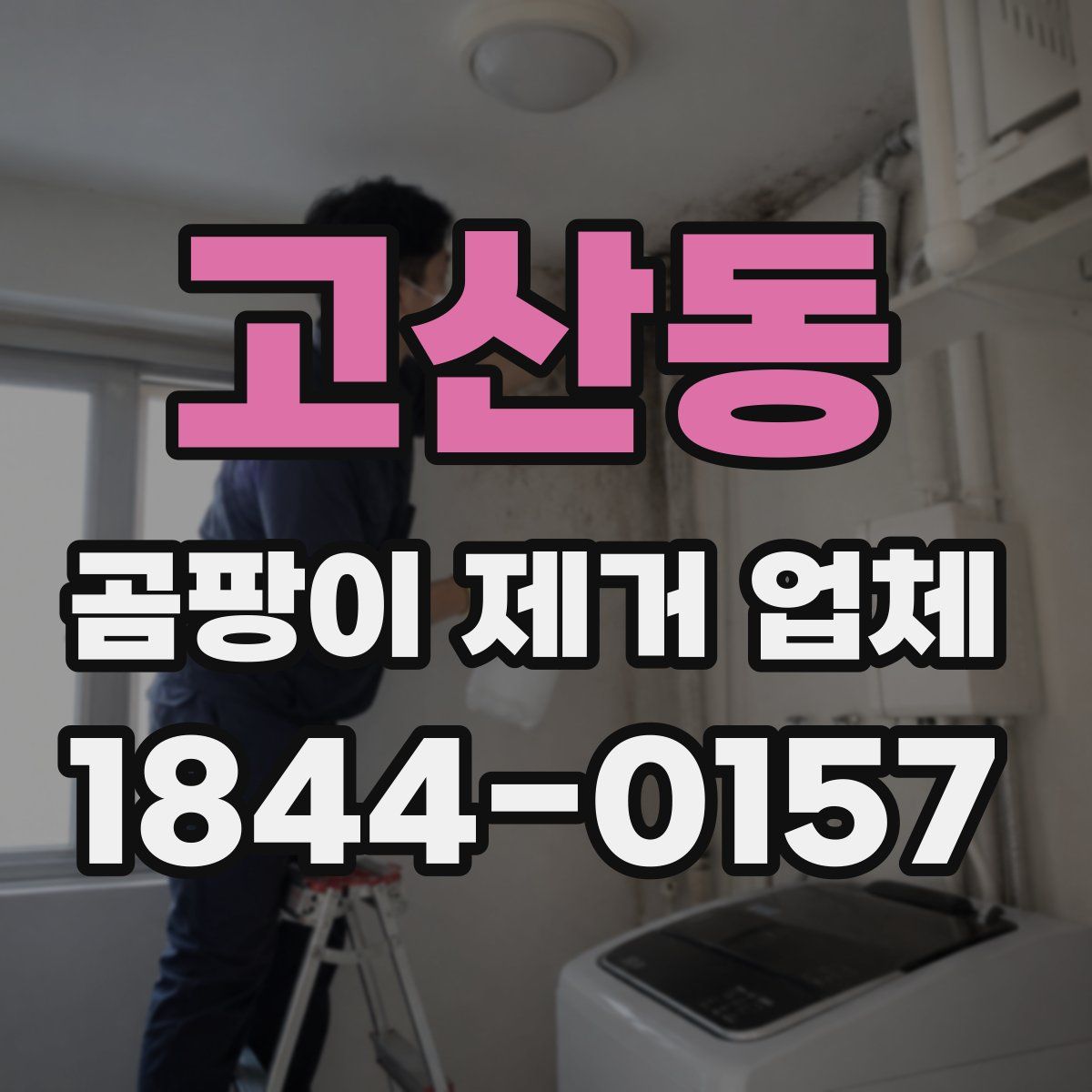 고산동 곰팡이 제거 업체