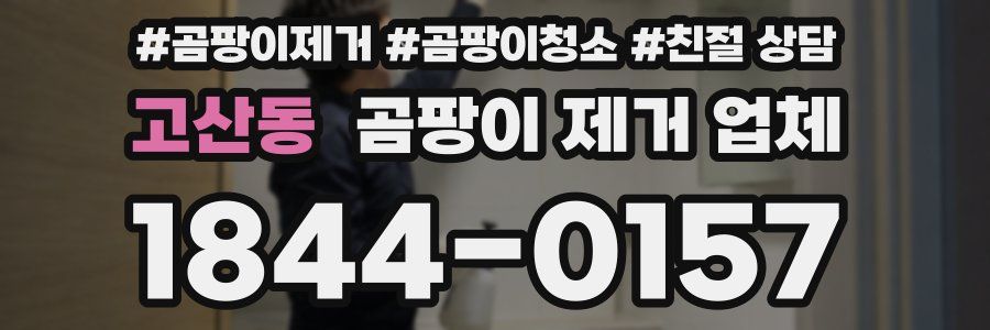 고산동 곰팡이 제거 업체