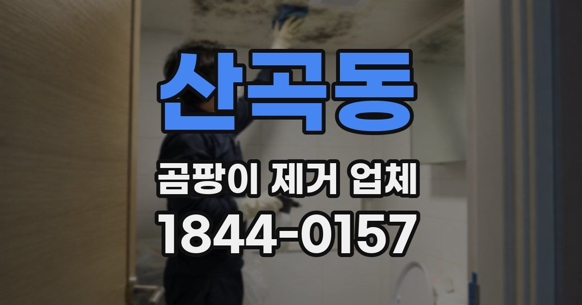 산곡동 곰팡이 제거 업체