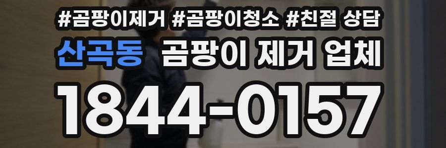산곡동 곰팡이 제거 업체