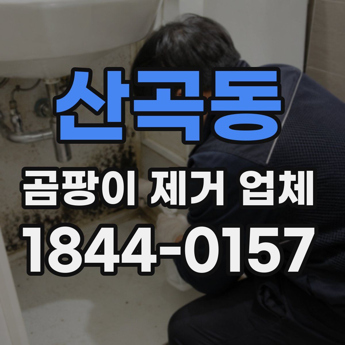 산곡동 곰팡이 제거 업체