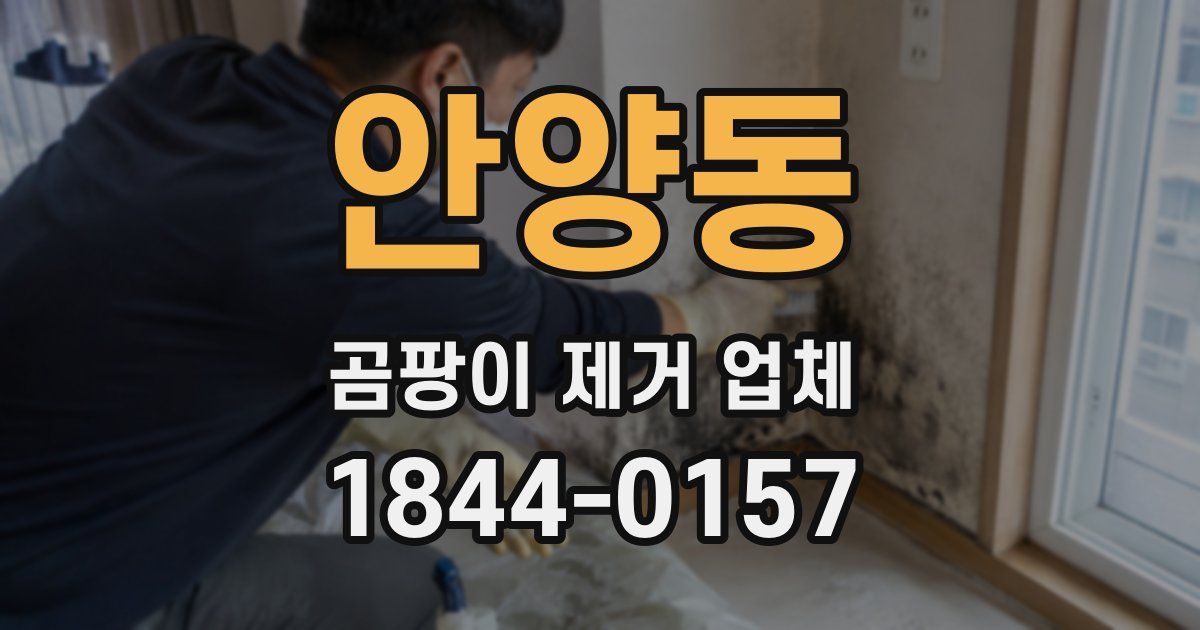 안양동 곰팡이 제거 업체