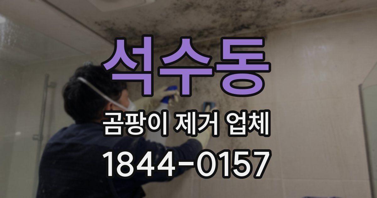 석수동 곰팡이 제거 업체