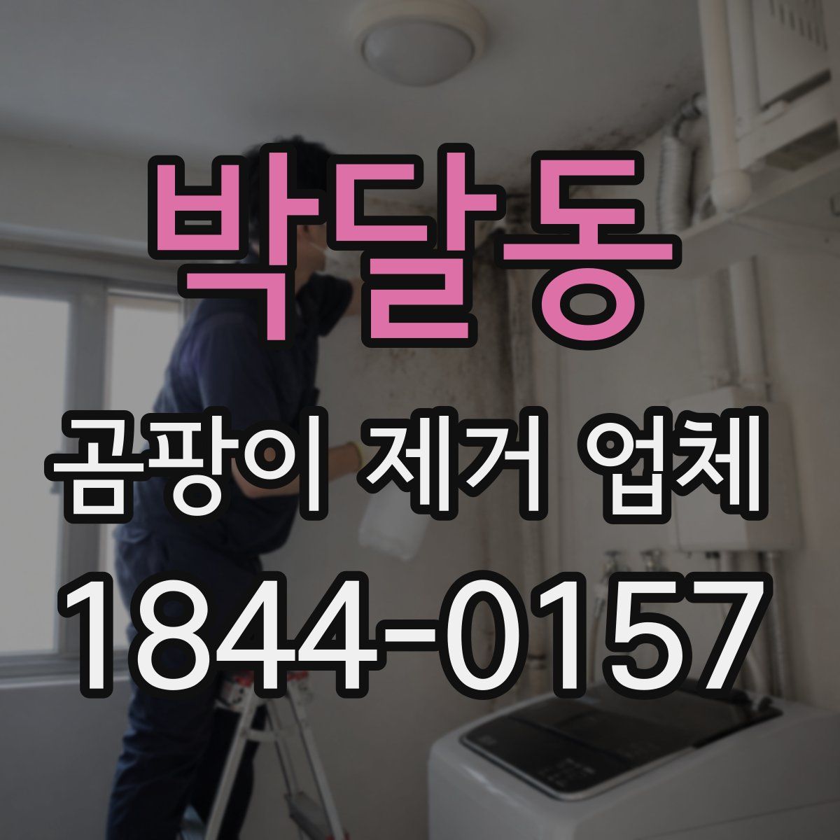 박달동 곰팡이 제거 업체