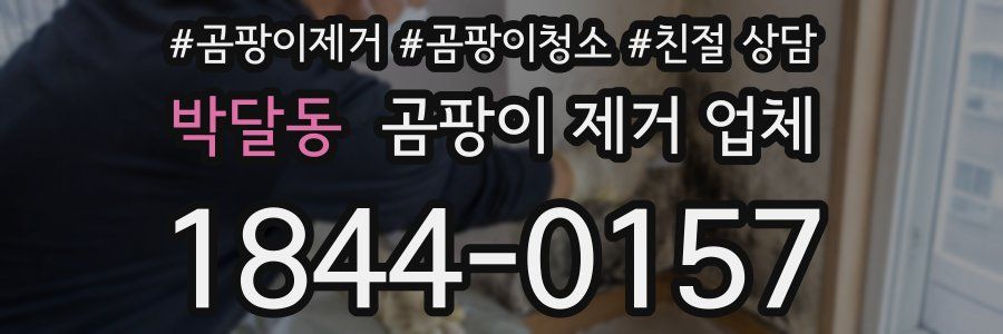 박달동 곰팡이 제거 업체
