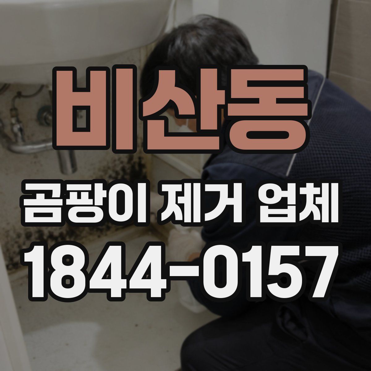 비산동 곰팡이 제거 업체