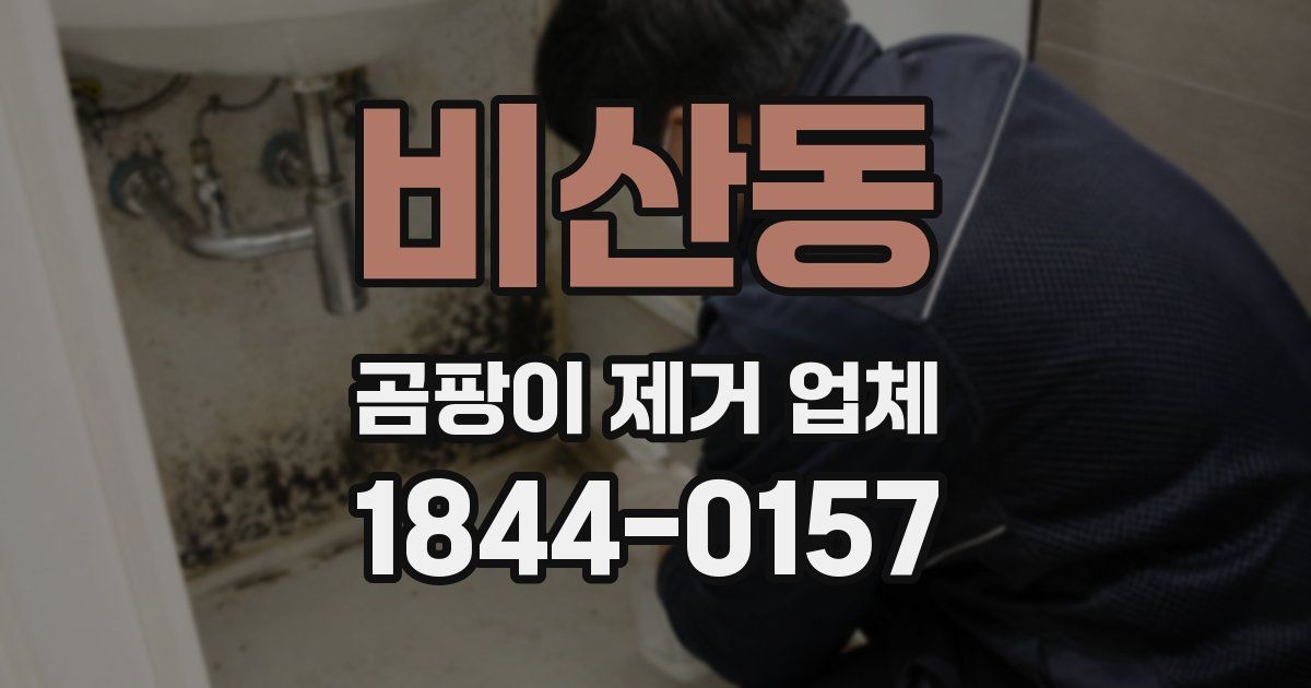비산동 곰팡이 제거 업체