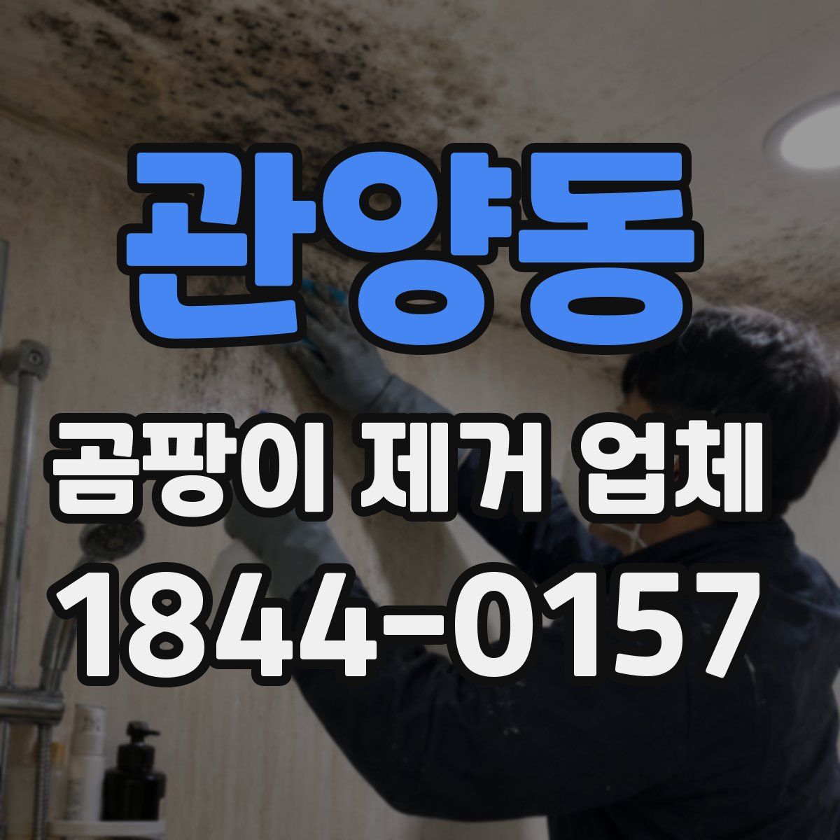 관양동 곰팡이 제거 업체