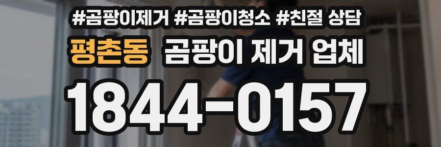 평촌동 곰팡이 제거 업체
