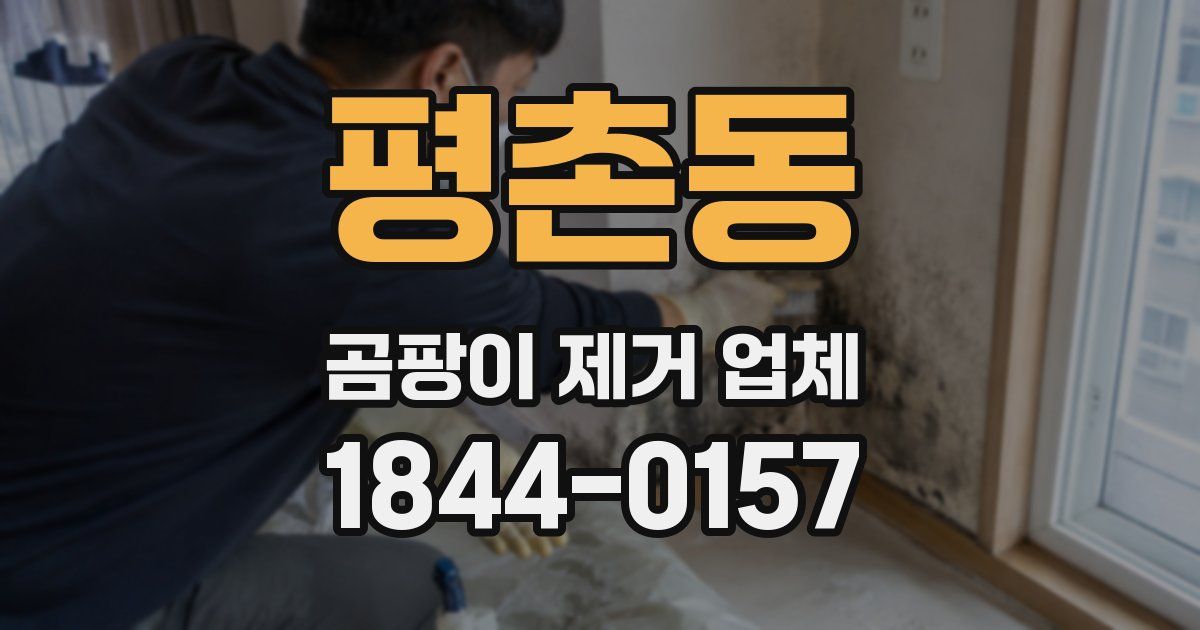 평촌동 곰팡이 제거 업체