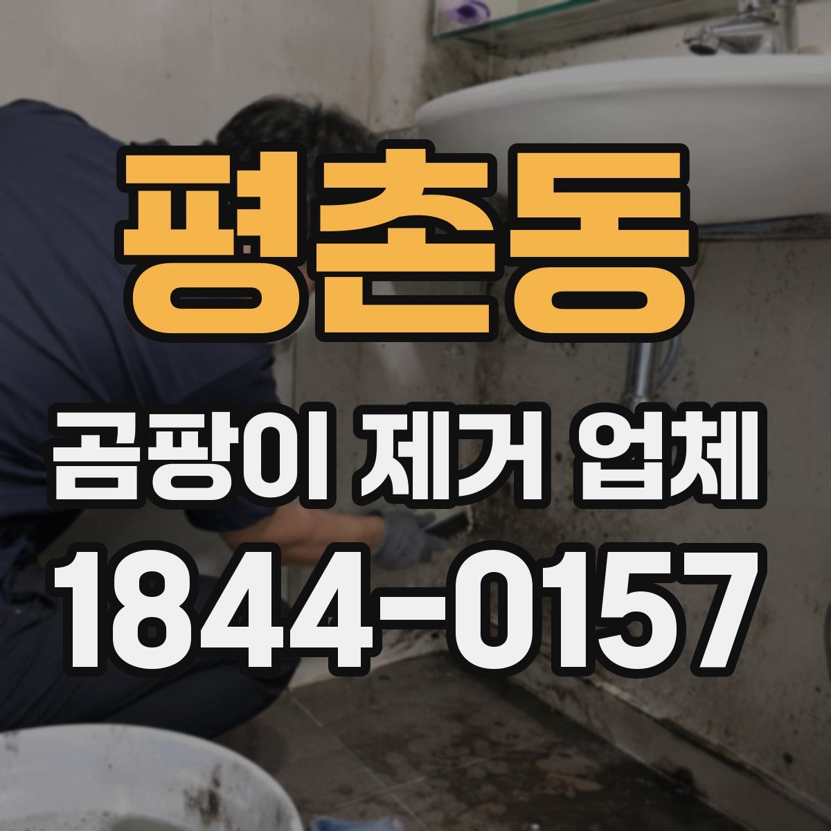평촌동 곰팡이 제거 업체