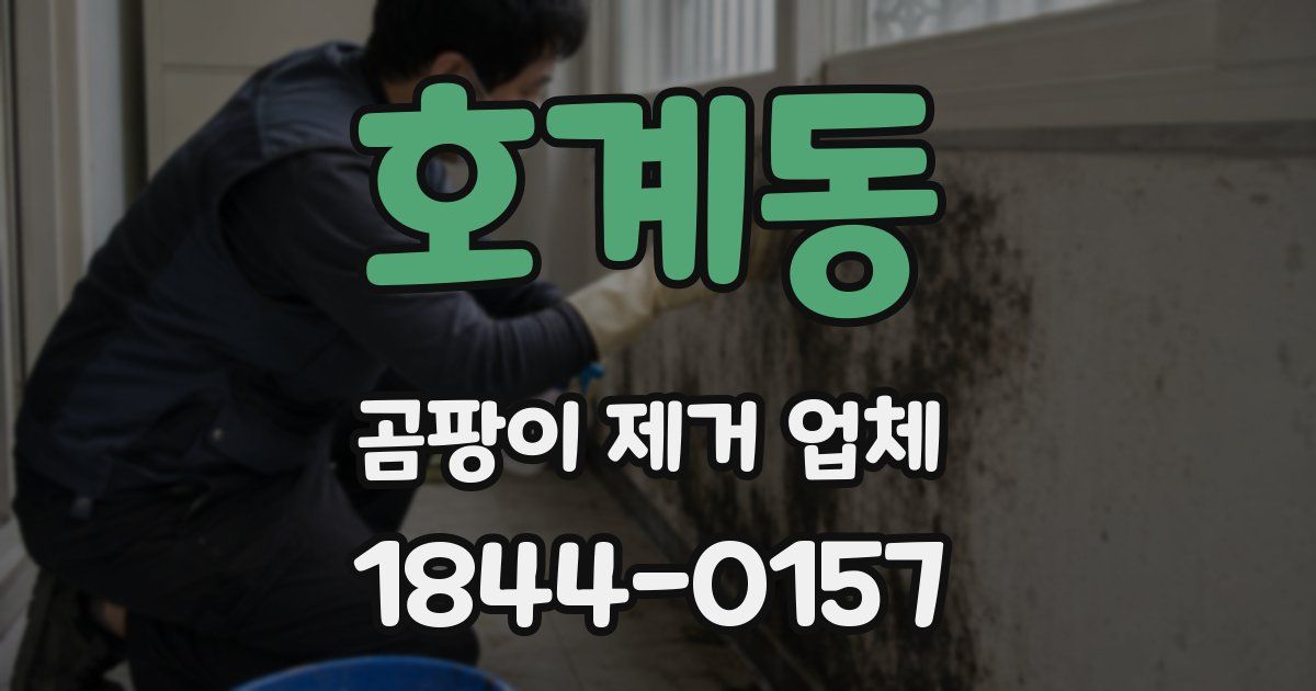 호계동 곰팡이 제거 업체