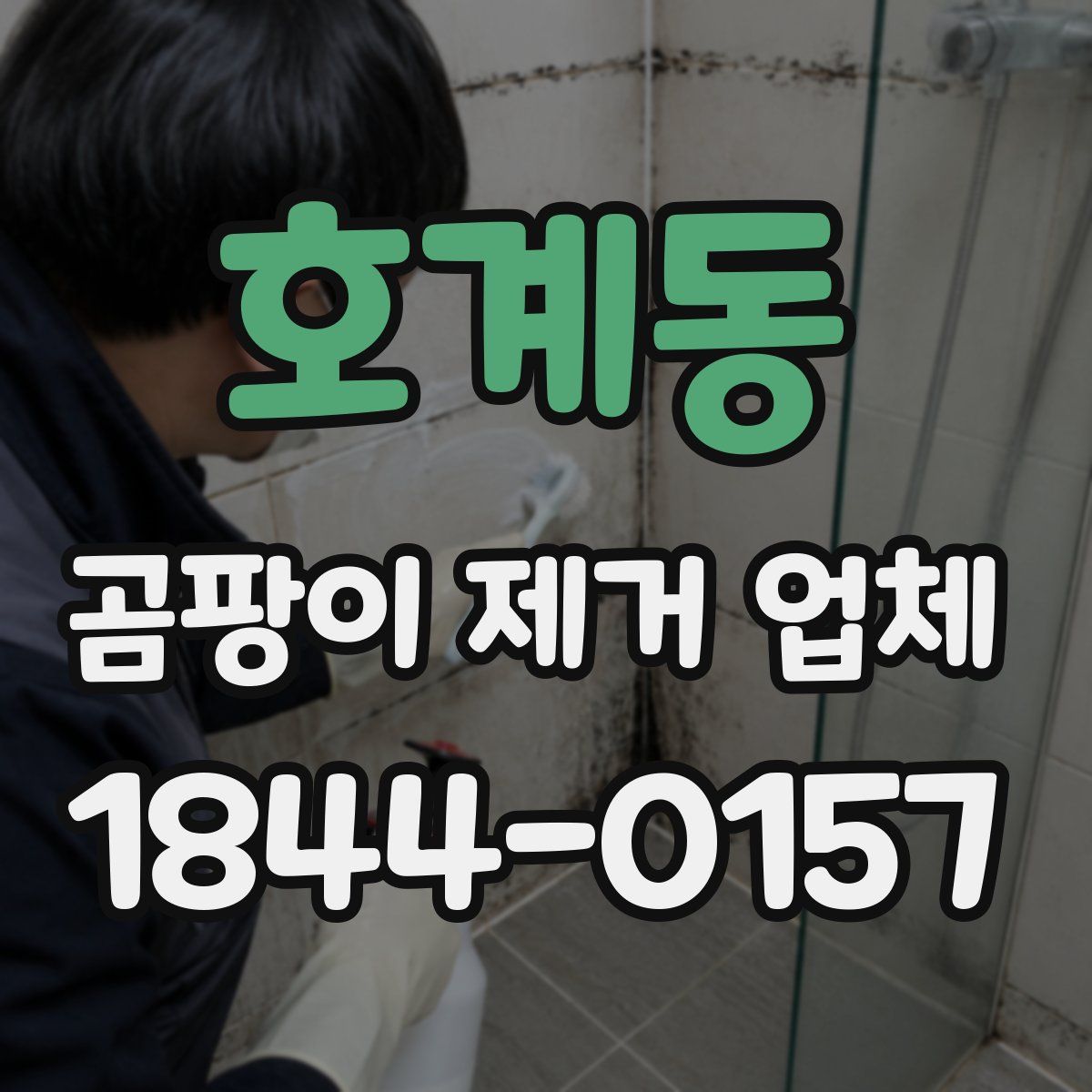 호계동 곰팡이 제거 업체