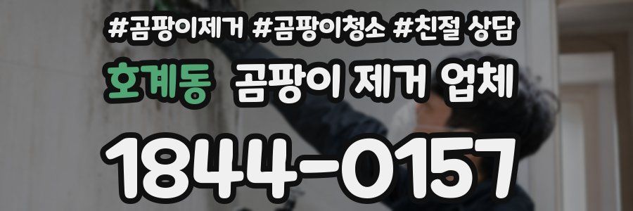 호계동 곰팡이 제거 업체