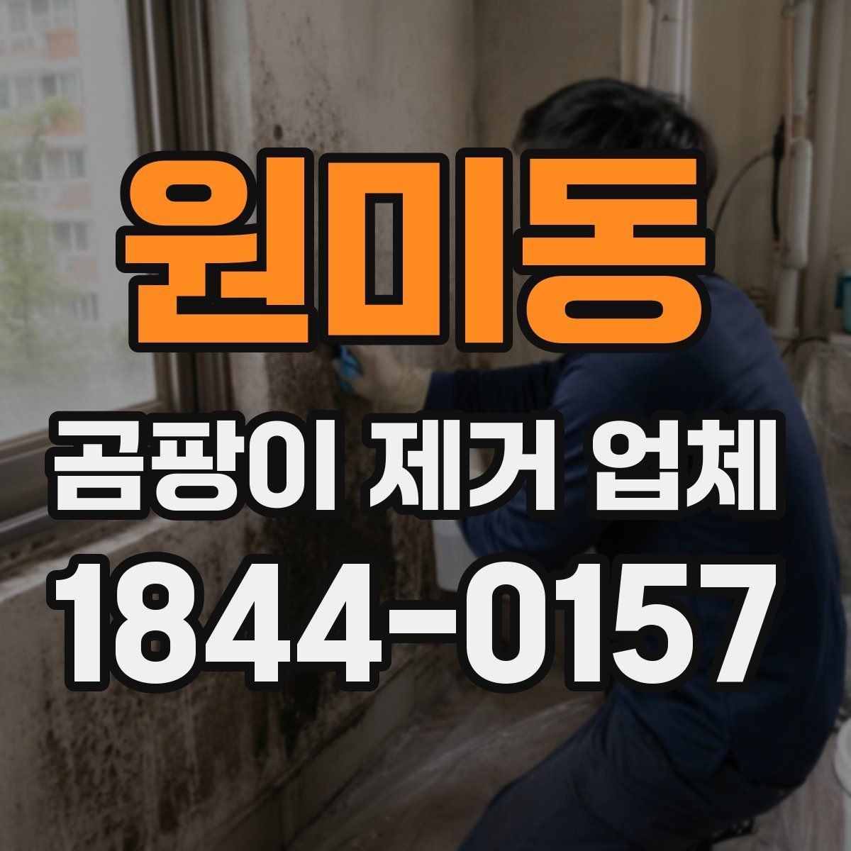 원미동 곰팡이 제거 업체 비용이 달라지는 이유