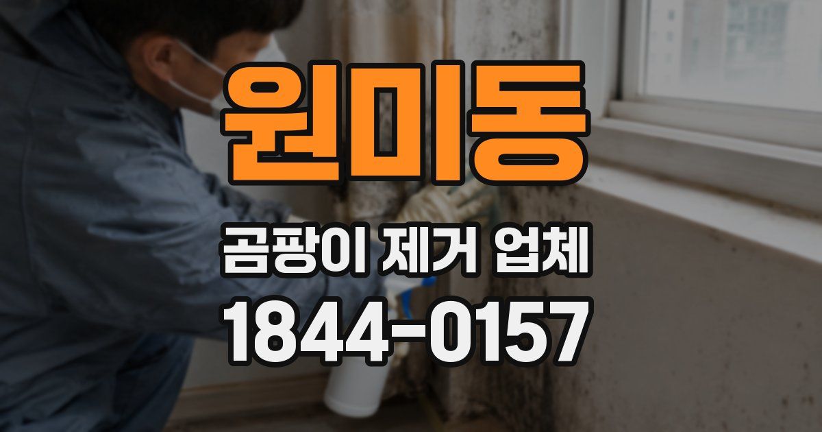 원미동 곰팡이 제거 업체