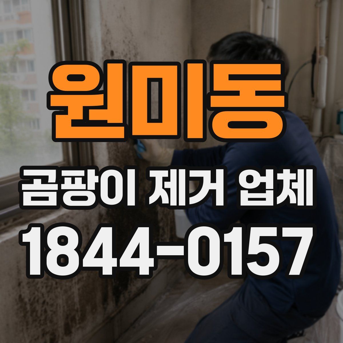 원미동 곰팡이 제거 업체