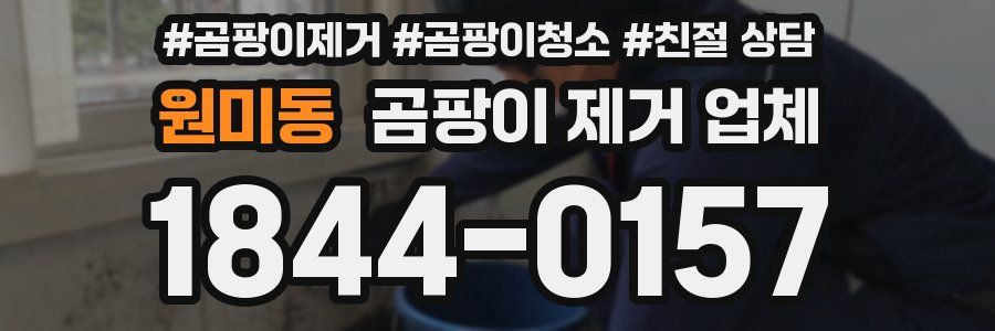 원미동 곰팡이 제거 업체
