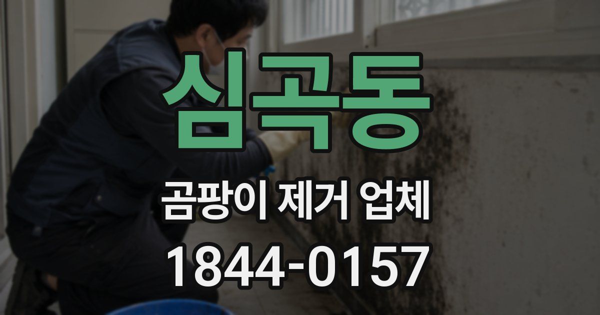 심곡동 곰팡이 제거 업체