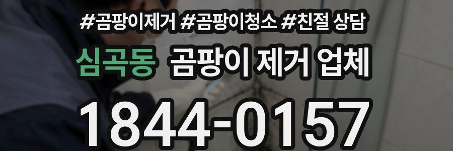 심곡동 곰팡이 제거 업체