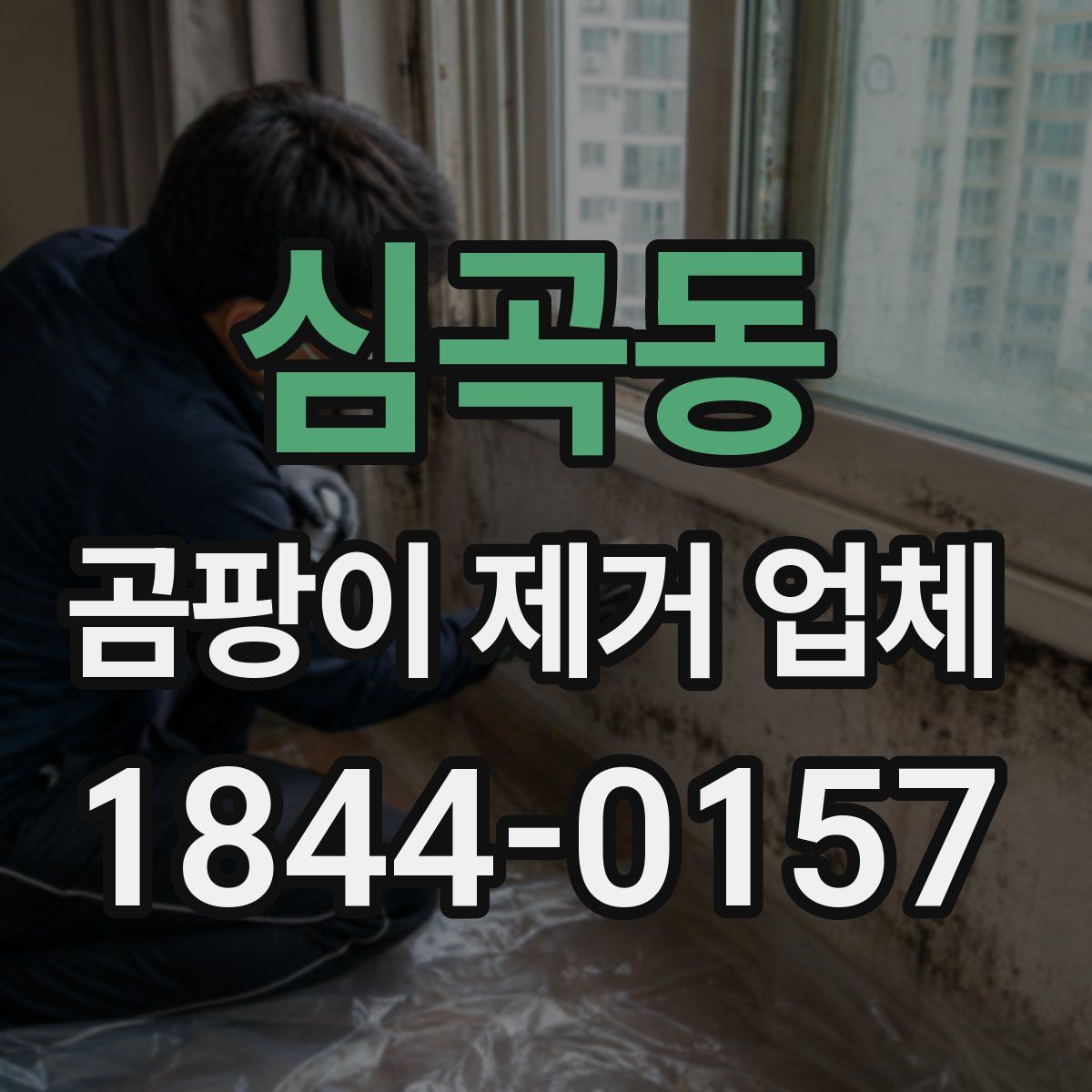 심곡동 곰팡이 제거 업체