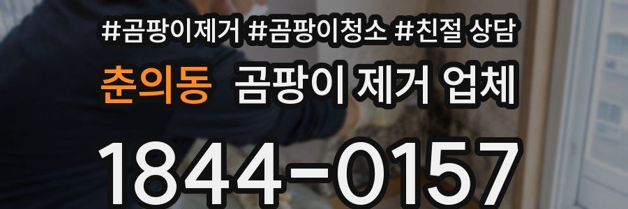 춘의동 곰팡이 제거 업체
