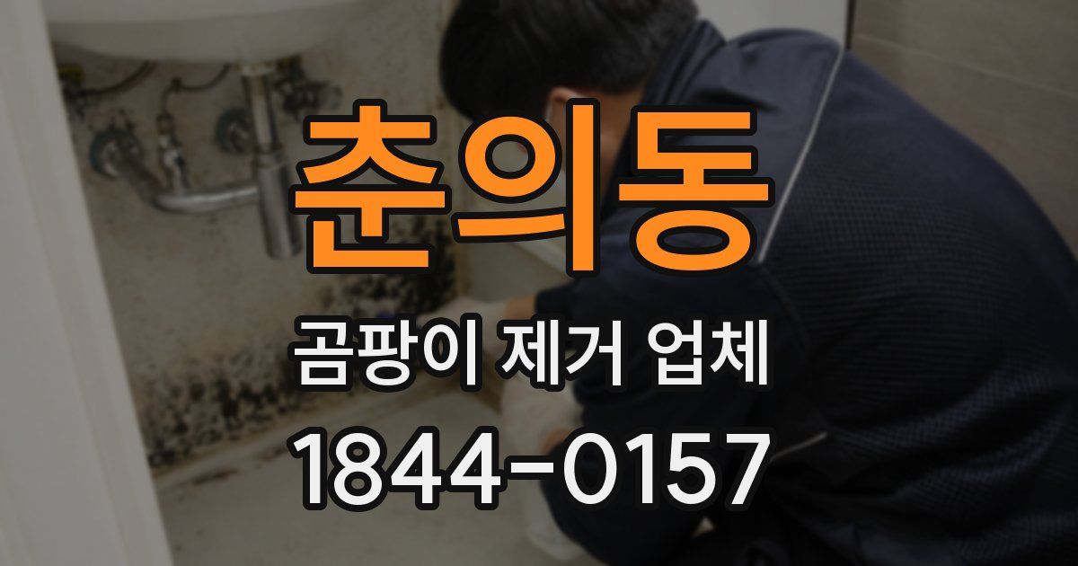 춘의동 곰팡이 제거 업체