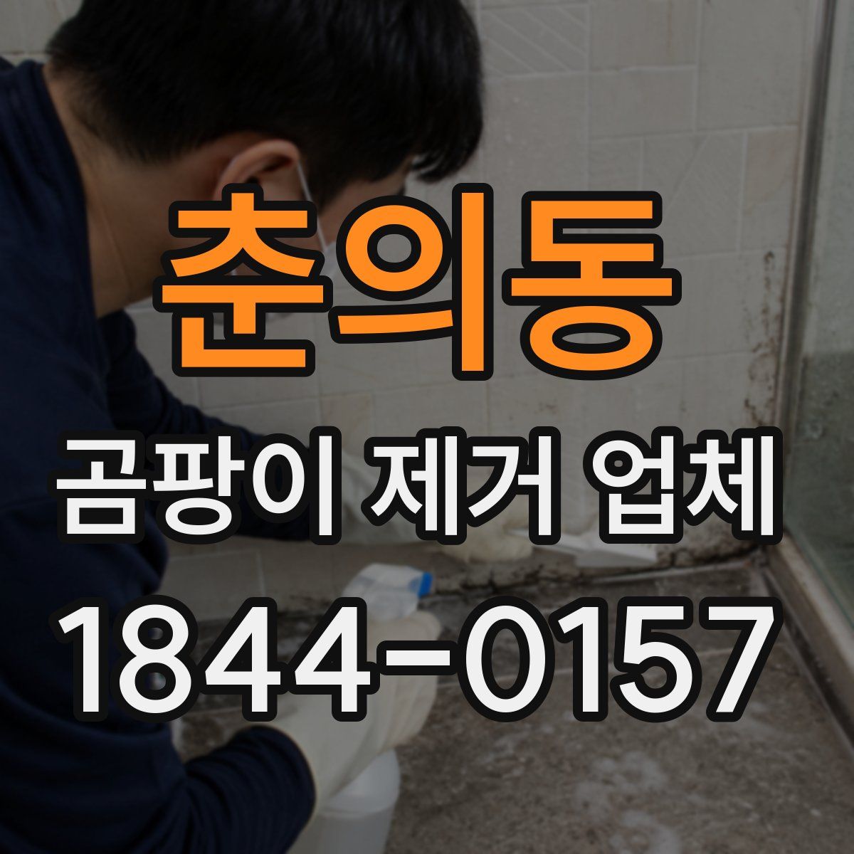춘의동 곰팡이 제거 업체