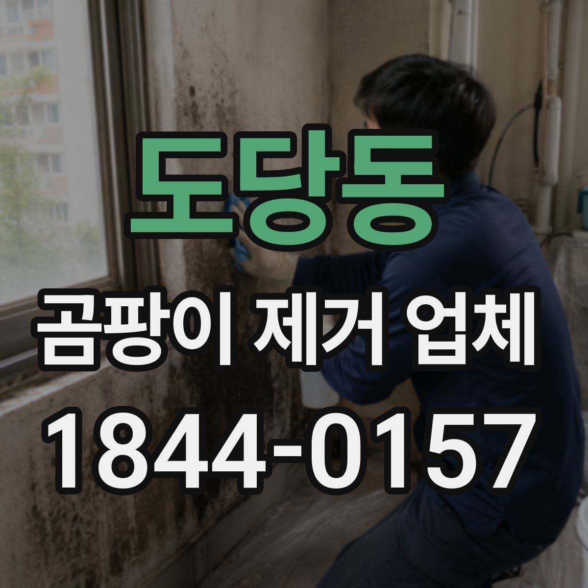 도당동 곰팡이 제거 업체 비용, 현장 상황에 따라 달라지는 항목
