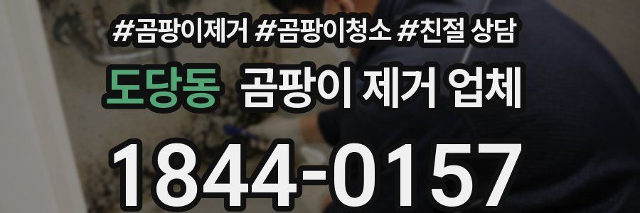도당동 곰팡이 제거 업체
