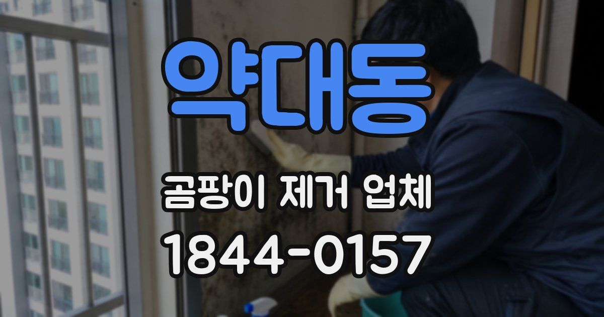 약대동 곰팡이 제거 업체