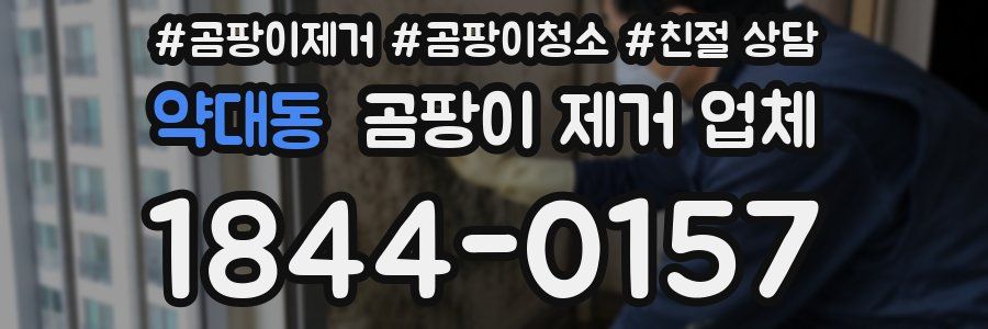 약대동 곰팡이 제거 업체