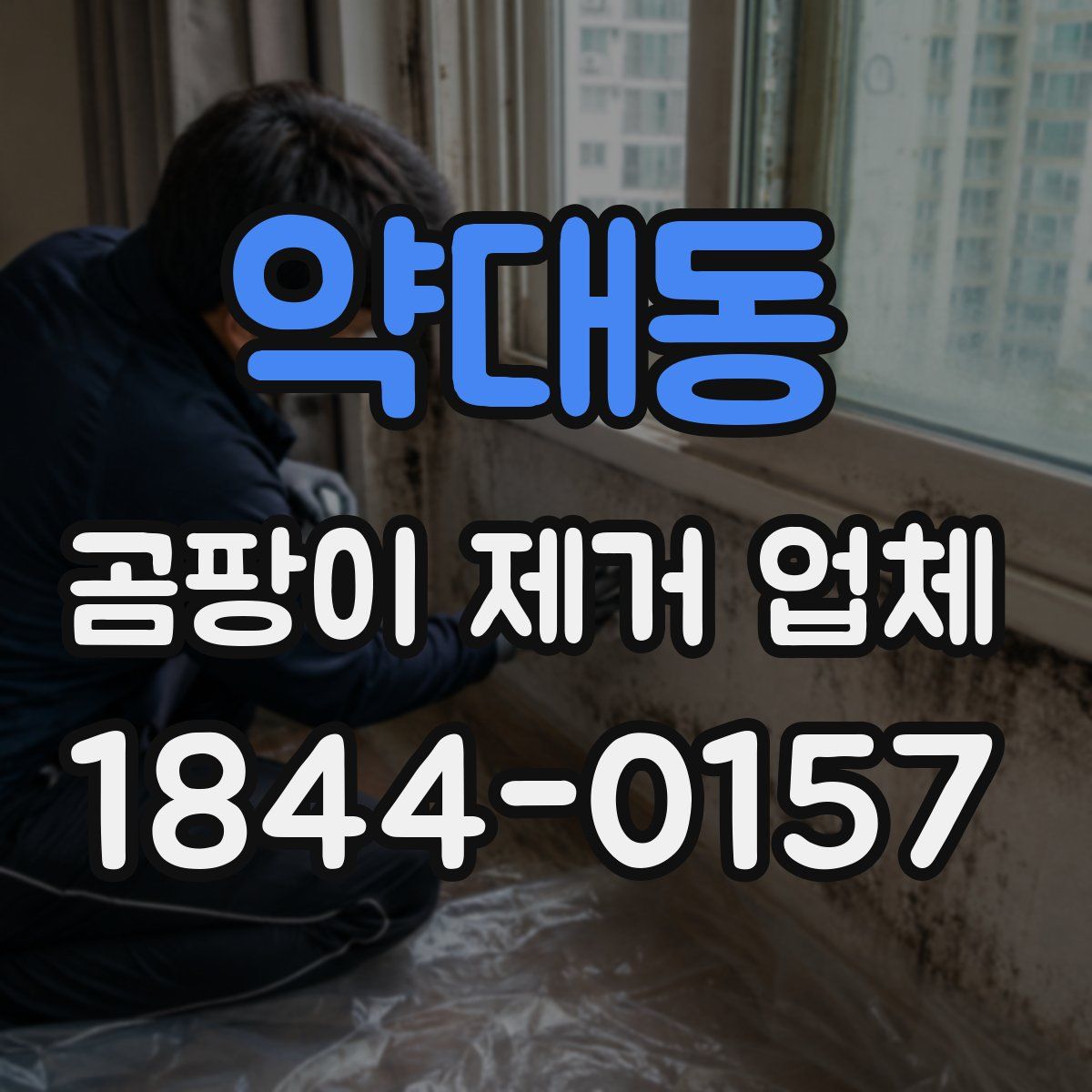 약대동 곰팡이 제거 업체
