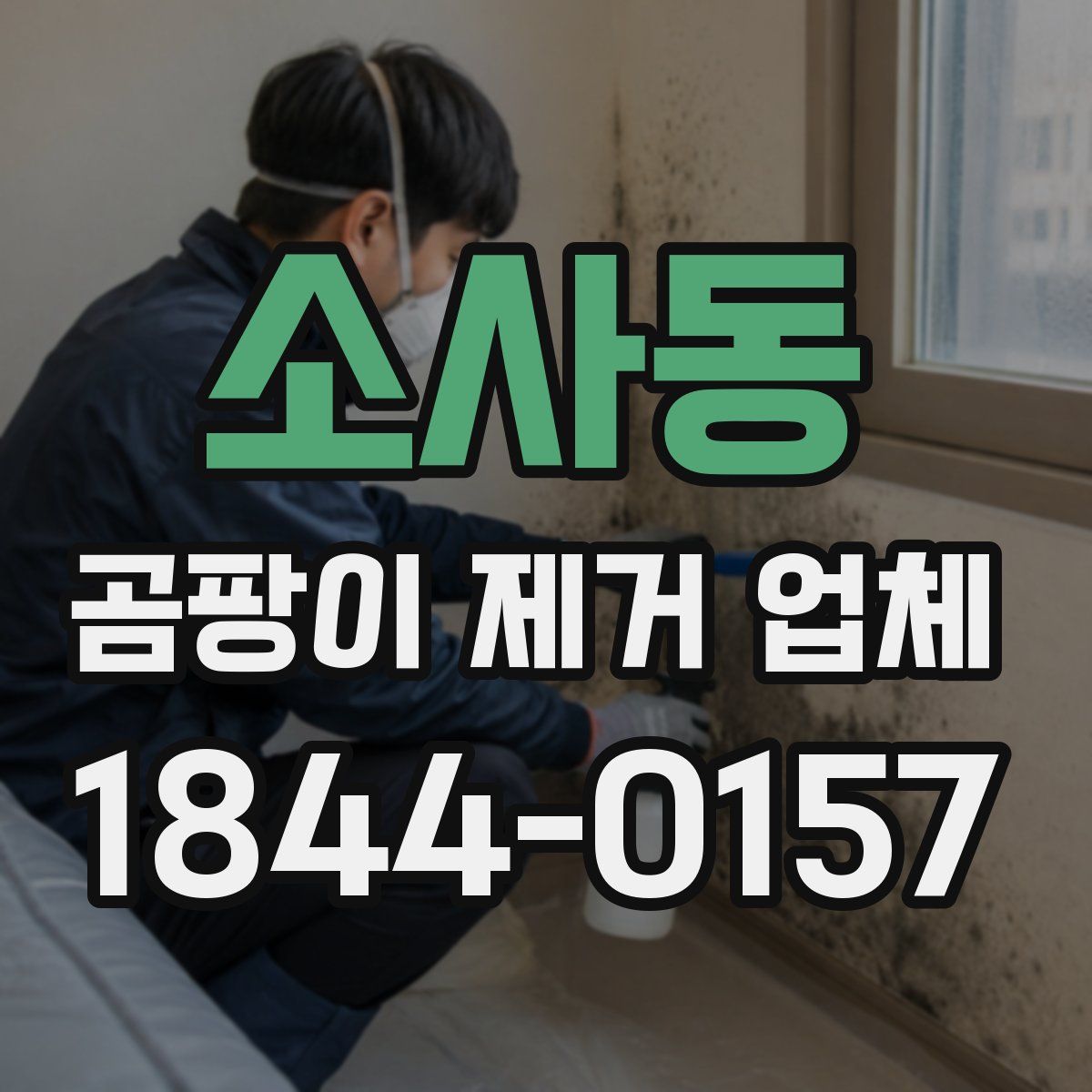 소사동 곰팡이 제거 업체