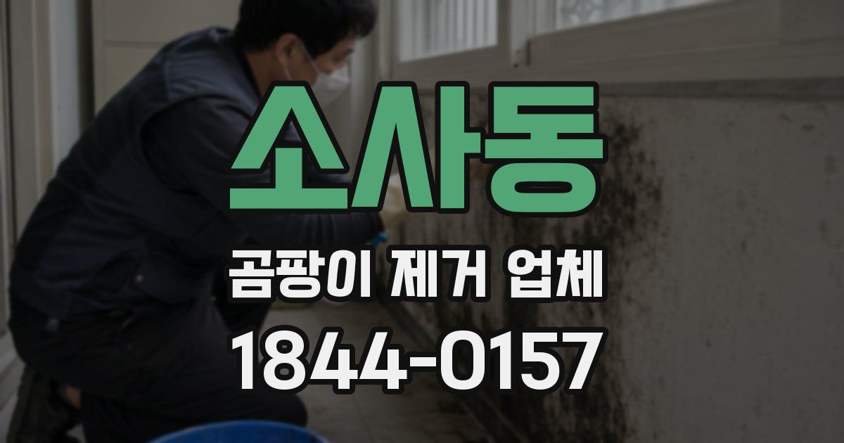 소사동 곰팡이 제거 업체