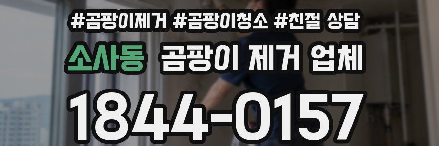 소사동 곰팡이 제거 업체