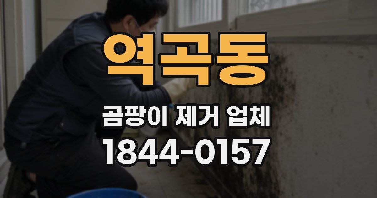 역곡동 곰팡이 제거 업체