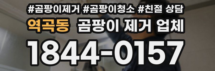 역곡동 곰팡이 제거 업체