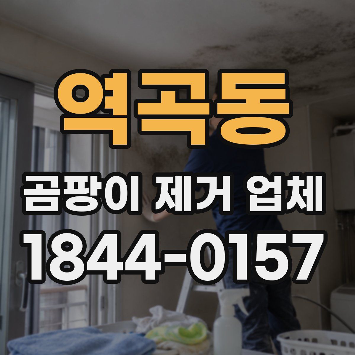 역곡동 곰팡이 제거 업체