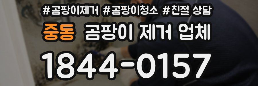 중동 곰팡이 제거 업체